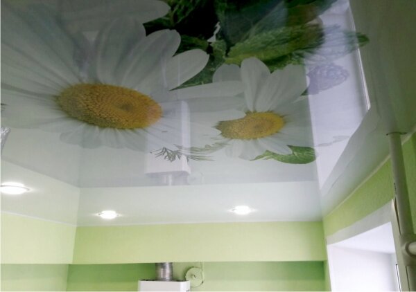 Натяжные потолки с фотопечатью